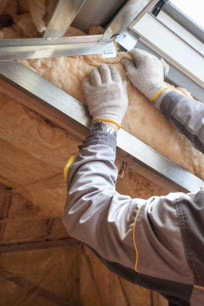 Best Radiant Barrier Insulation  in Thomasville, AL