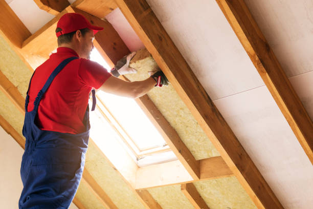 Best Basement Insulation  in Thomasville, AL